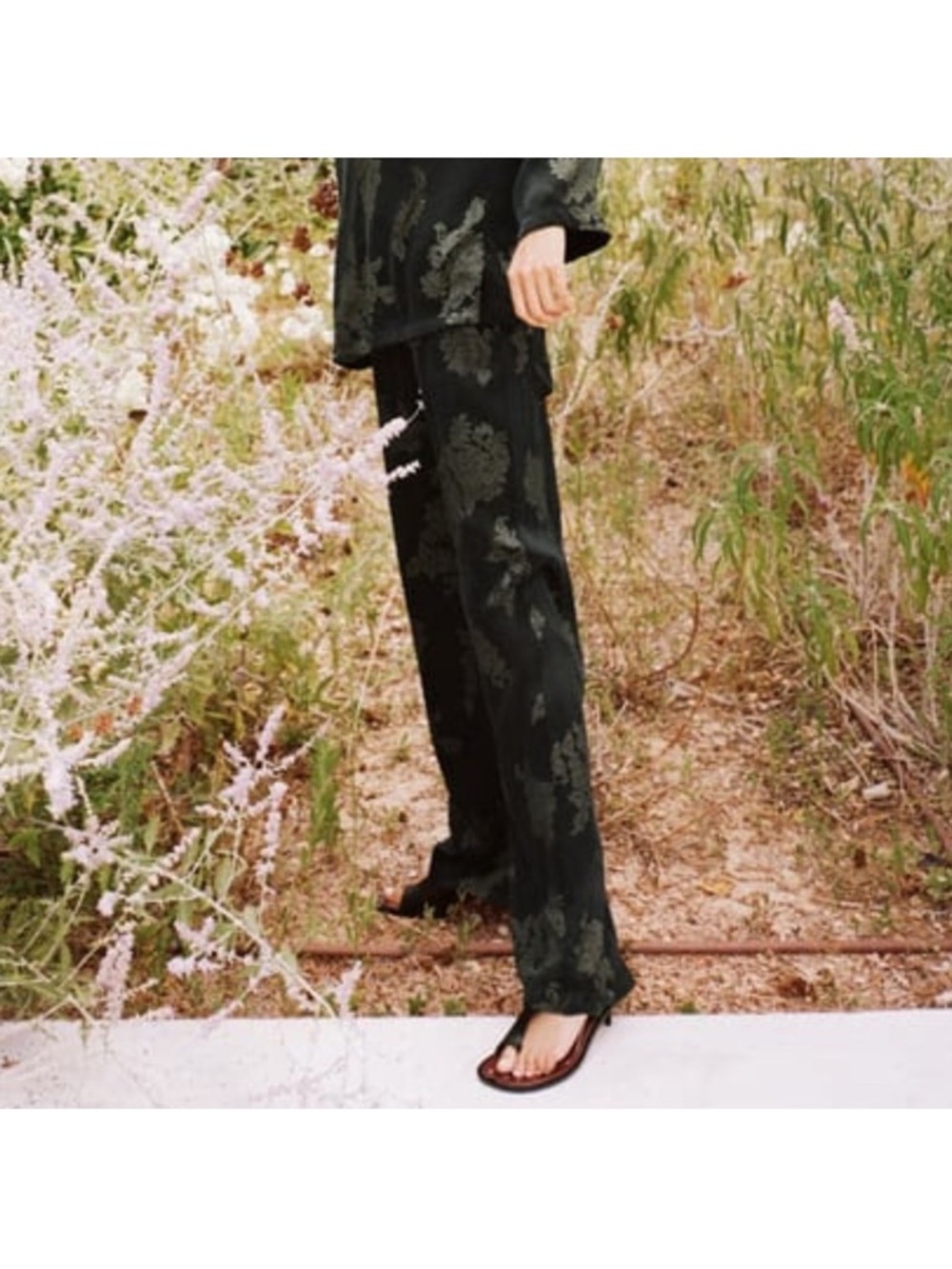 Zara Black Floral Jacquard Pants with Metallic Threading